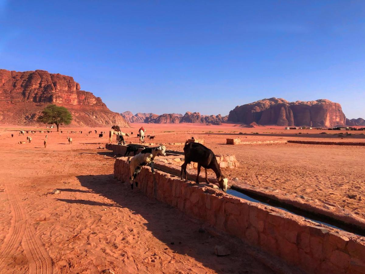 Villa Milky Way Bedouin Camp Wadi Rum Exterior foto